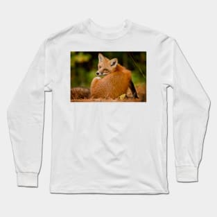 Red Fox Long Sleeve T-Shirt